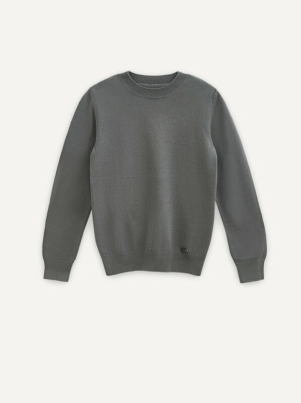 Джемперы ESLI Джемпер для мальчика 24С-13СП