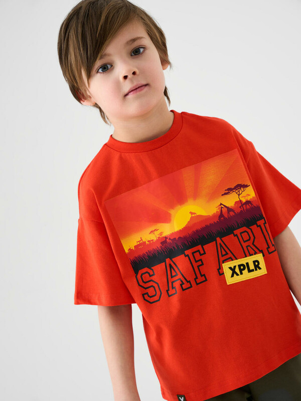 Фуфайка трикотажная для мальчиков (футболка)