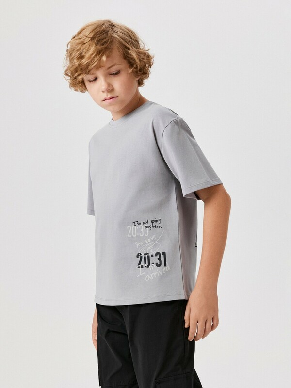 Футболка детская для мальчиков Stilton