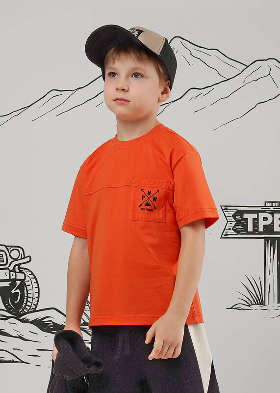Футболка детская для мальчика