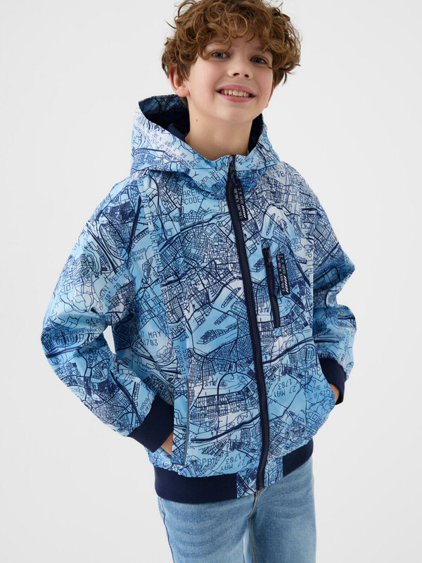 ������ ����������� � �������������� ��������� ��� ��������� (��������)