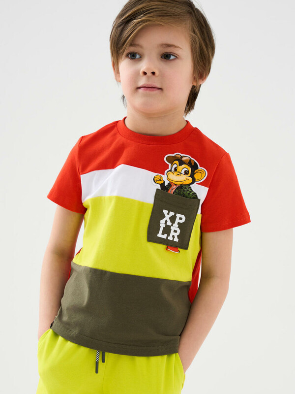 Фуфайка трикотажная для мальчиков (футболка)