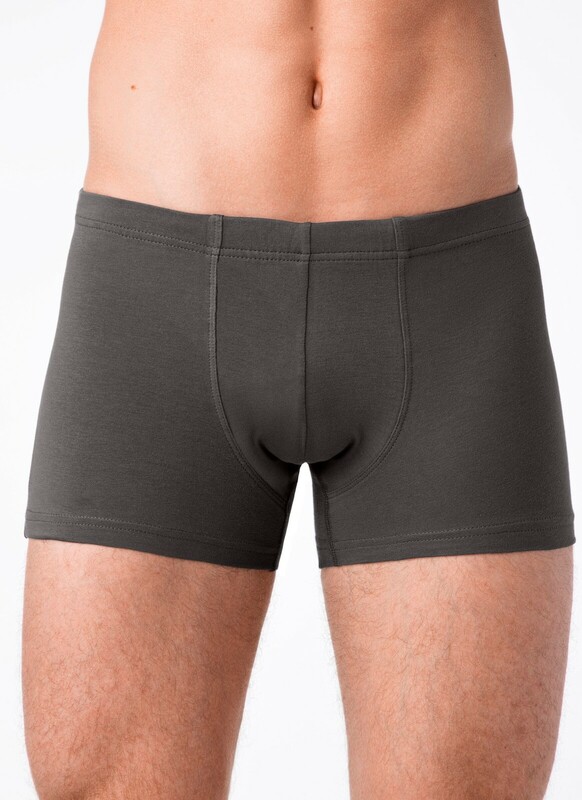 Брестские Трусы мужские ALFA BOXER 16С6300