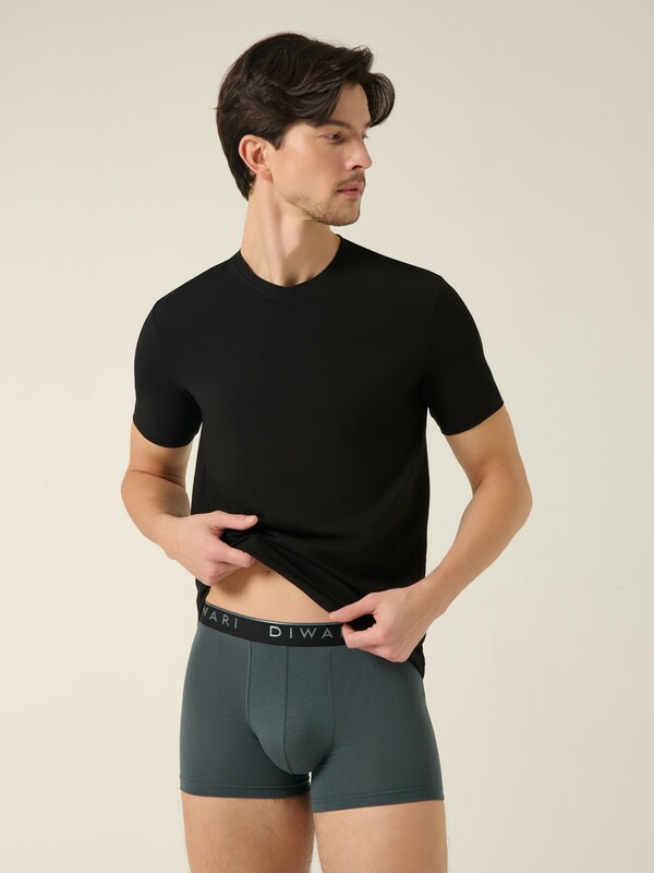 Шорты DIWARI PREMIUM MSH 1568 Трусы мужские