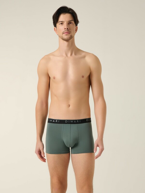 Шорты DIWARI PREMIUM MSH 1568 Трусы мужские