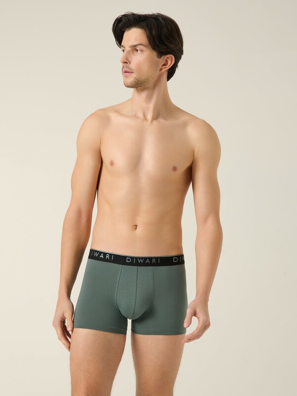 Шорты DIWARI PREMIUM MSH 1568 Хлопковые трусы-шорты