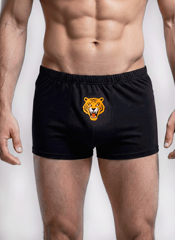 Боксеры ALFA ТРУСЫ МУЖСКИЕ 6308