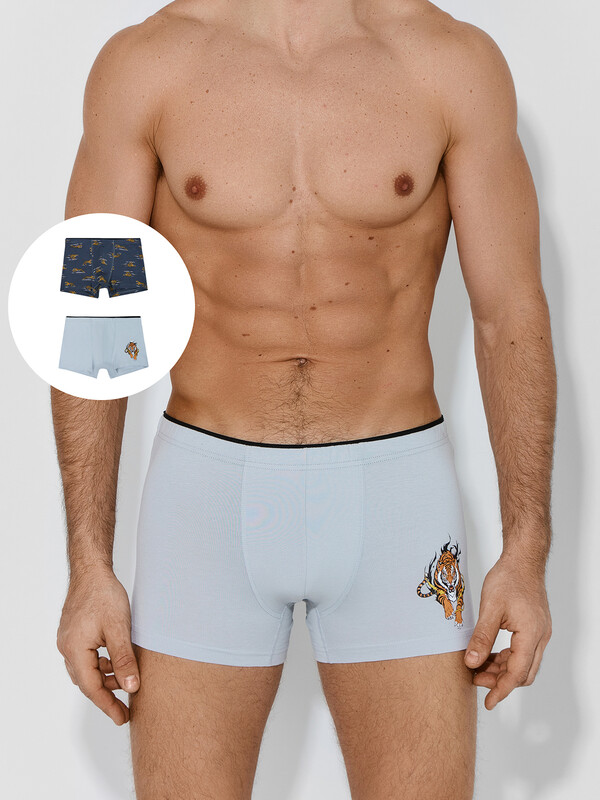 ТРУСЫ МУЖСКИЕ (2ШТ) 411134-2