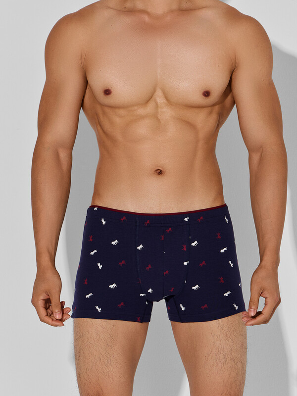 ТРУСЫ МУЖСКИЕ 411134