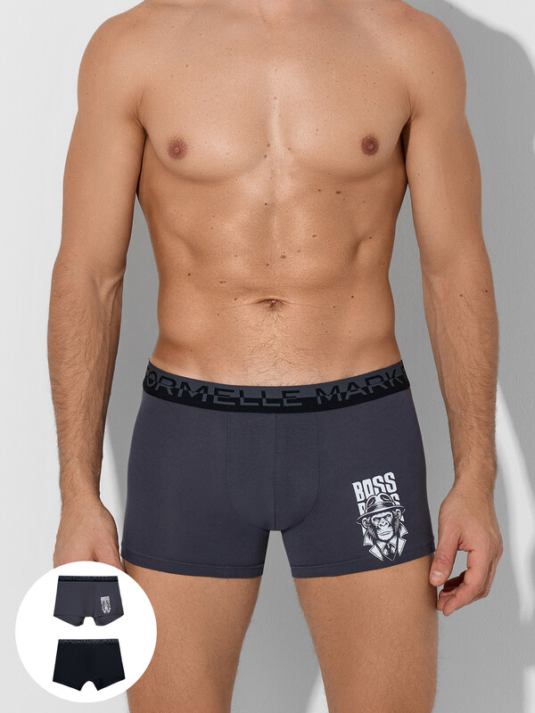 ТРУСЫ МУЖСКИЕ (2ШТ) 411221-2