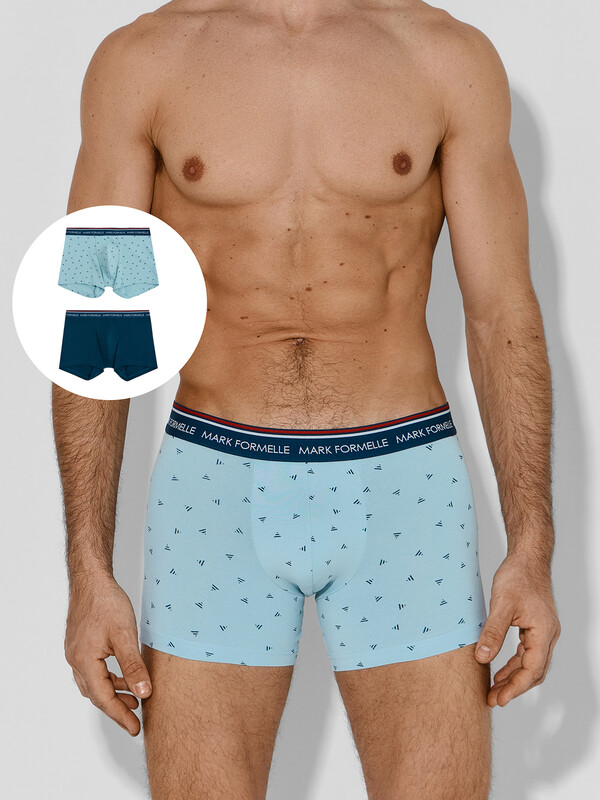 ТРУСЫ МУЖСКИЕ (2ШТ) 411221-2