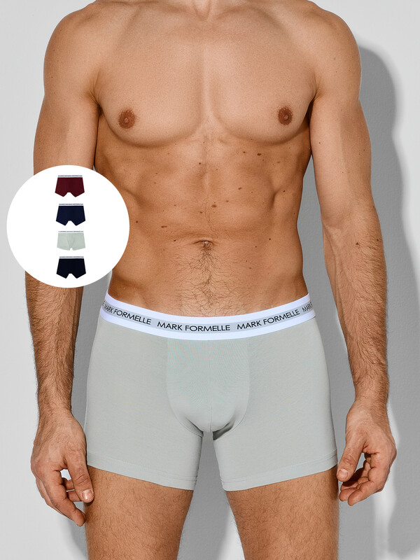 ТРУСЫ МУЖСКИЕ (4ШТ) 411221-4