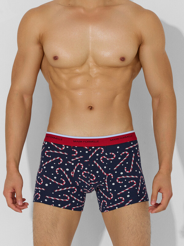 ТРУСЫ МУЖСКИЕ 411221