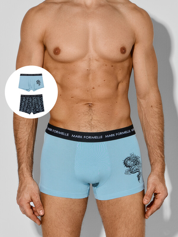 ТРУСЫ МУЖСКИЕ (2ШТ) 411228-2