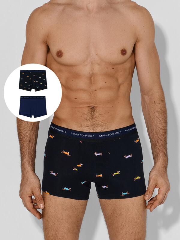 ТРУСЫ МУЖСКИЕ (2ШТ) 411228-2