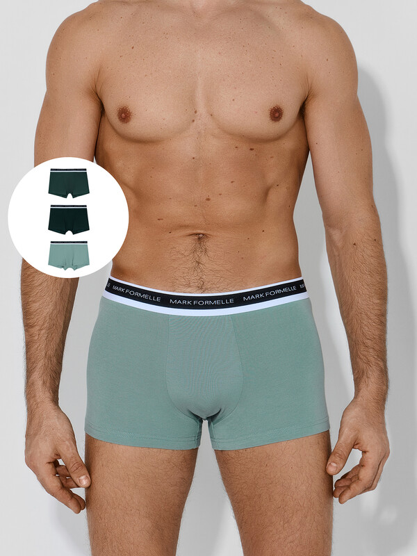 ТРУСЫ МУЖСКИЕ (3ШТ) 411228-3