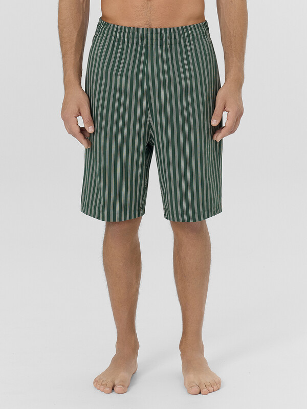 ШОРТЫ МУЖСКИЕ 531027