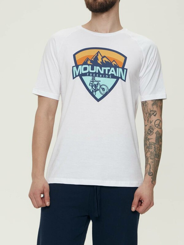 Джемперы ESLI Джемпер мужскойCTM2190089