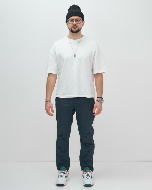 Брюки утепленный мужской зимние спортивные темно-серого цвета 2211-1TC