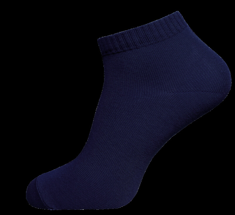 Короткие Брестские Носки детские KIDS 3085