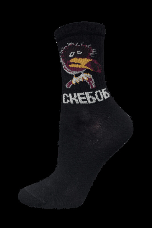 Удлиненные БРЕСТСКИЕ НОСКИ ДЕТСКИЕ 3076 SCHOOL