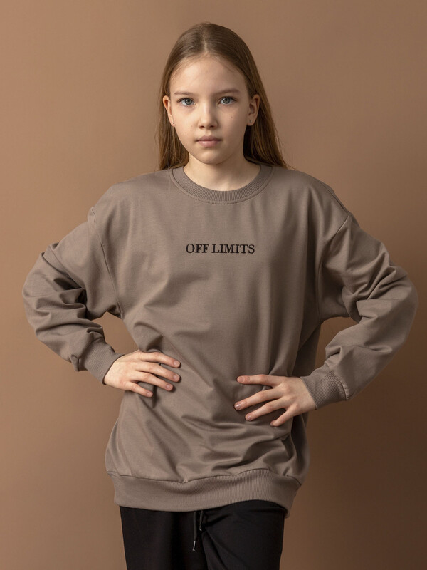 Свитшот (пуловер) унисекс