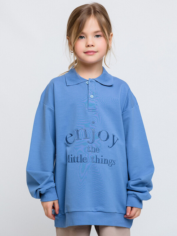 Свитшот с воротником (034_БП24)