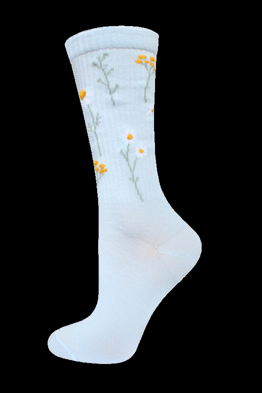 Удлиненные БРЕСТСКИЕ НОСКИ ЖЕНСКИЕ 1141 CLASSIC