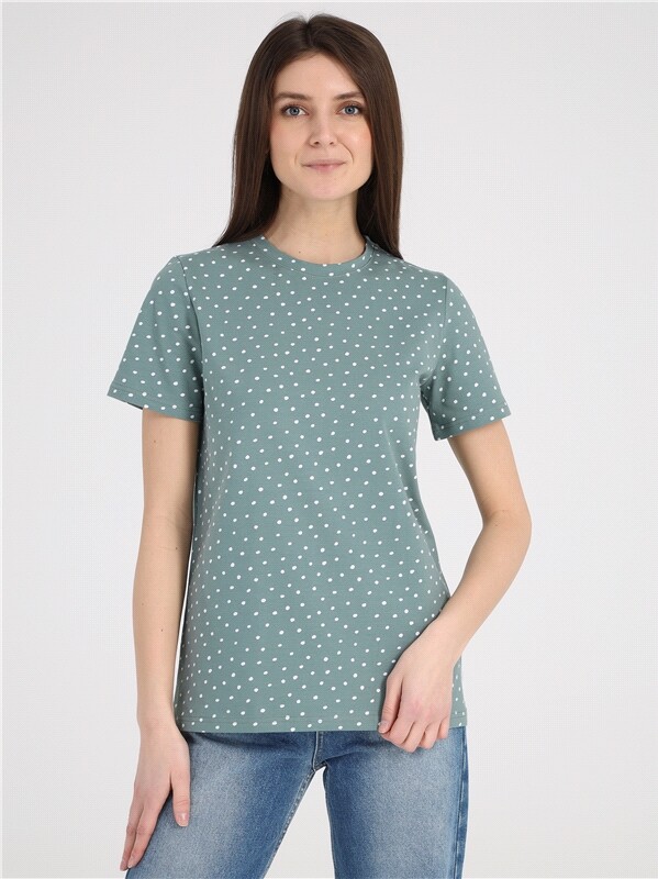 футболка 1ЖДФК4010804н