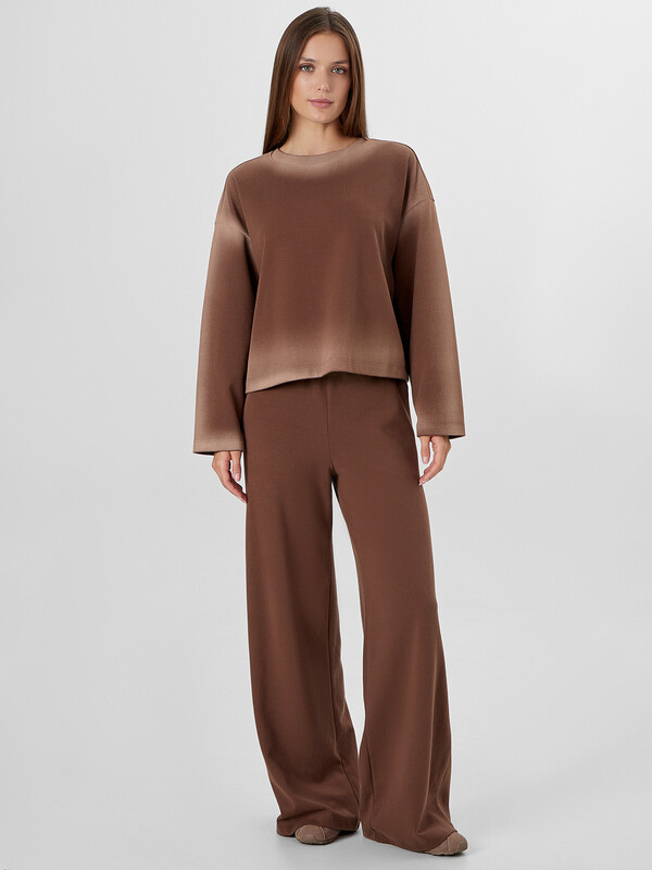 КОМПЛЕКТ ЖЕНСКИЙ (СВИТШОТ, БРЮКИ) 192016